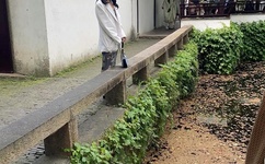 黑兽樱花未增删带翻译